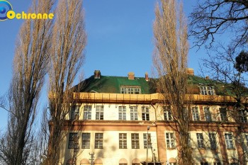 Siatki Oława - Siatki zabezpieczające dach dla terenów Oławy